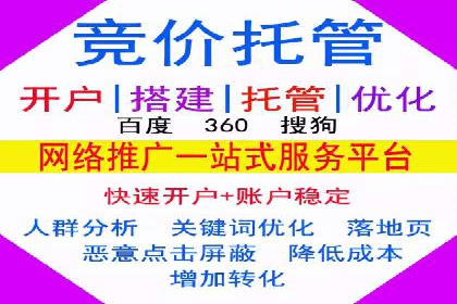 成功案例：专业SEM托管服务助力企业抢占行业制高点